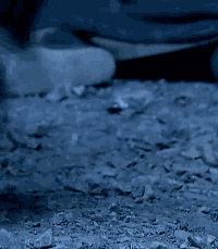 ���˽����ϰ��������˾�����˸����꣬����ҽ����Ц�ˡ���