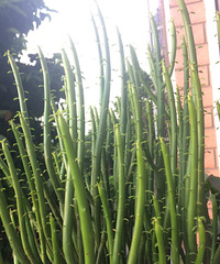 ����������̨����Ĺ������Ȼ������ô�ã���������һ���ܺ���