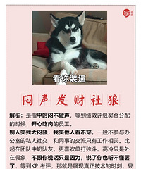 职场社畜图鉴:熬夜猛肝KPI,专业背锅数十载,看你属于哪一类