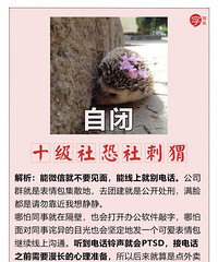 职场社畜图鉴:熬夜猛肝KPI,专业背锅数十载,看你属于哪一类