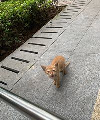 ֻɰл԰Сèֻèһֻٰ