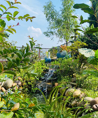 带父母周末南山休闲游,这家民宿体验不错