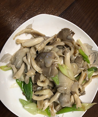 美味菌菇自己在家种,三天时间就吃上了