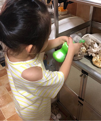 美味菌菇自己在家就能种,三天时间就收割开吃了