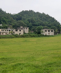 这个公园海拔高,凉快还没人,步道舒服特别适合汽车或者散步