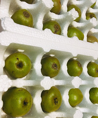 这家的红心猕猴桃,真的是甜到憨,入手不亏