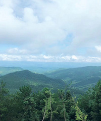 在丰都避暑,娃每天的乐趣就是学习和小伙伴玩耍,风景也特别治愈