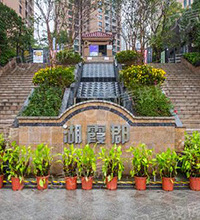 230万冲动下叉照母山200㎡顶跃,居然还有这么便宜的学区房