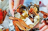 个大鲜美的盘锦河蟹开团,每份可省50元