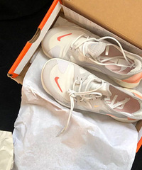 ��˫Nike��������ǳ����������ɫ