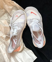 ��˫Nike��������ǳ����������ɫ
