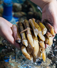 СʱҾ벻ĳһҾȻʵ˱ɣ