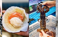 ����������8.8/8���ı��㣬88һֻ�Ĳ���