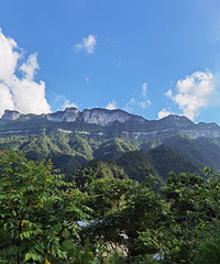 金佛山北坡适合避暑纳凉,水质清冽舒服,还可以住农家乐