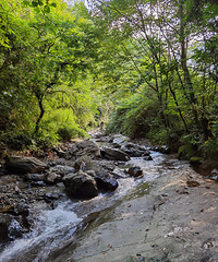 ���ɽ�����ʺϱ���������ˮ�����������������סũ����