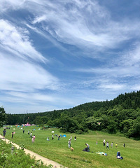 大太阳底下都不觉得热的武陵山,在这露营避暑不要太爽