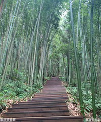 �Ͻ��ղ�����������14������أ����پ�����������ܴ�����