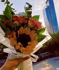 ��������һ�ѻ��Ż�9.9Ԫ���������ɻ�Ҳ�����ÿ���