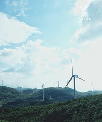 啤酒和音乐才是打开夏天露营的正确方式,这里放松好安逸