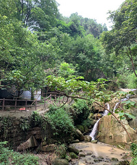纳凉避暑何必舍近求远,南山的清水溪步道也挺香,凉快耍水看山谷
