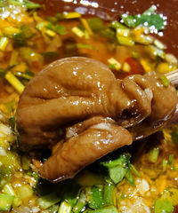 ��ҳ���ͯ�������ϻ�����ʳ����ҳԳ����¾���