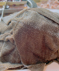 ���ǻ��ڼ����������������ҼҵĻ�ʽ�����