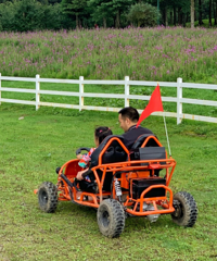 ι���ա�ˣ�����������ж�ͯ��԰�ͳ����ľƵ꣬�������ˣ�ºö�