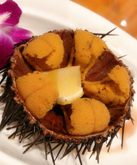 ι��Ÿ���Ϻ���������ʳ��˳�����鱱�����ã���δ�����̫��ˣ��