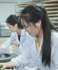 ��������רҵ���أ���ҵ��100%��δ������������