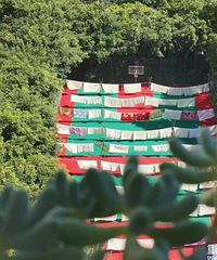 ����ĳС����ҵ����ҵ��ɹ�����������׳��