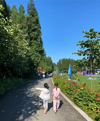我带娃周边避暑的NO.1选择,凉快耍事多,景美住宿还安逸
