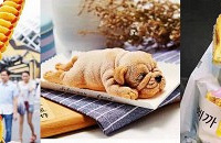 ��Щ�켫һʱ��������ʳ����Ȼ���ų��ž�û��...