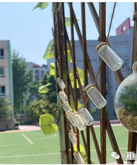 2020���ϰ�����̨��Сѧ��԰У�������������£���Ƭ��Χ