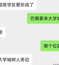 到处都在传大学城要有巴蜀了,新校区就在树人旁边,利好来了?