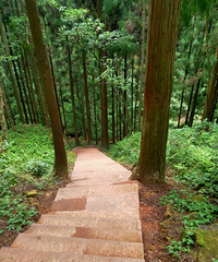 ����ɽ�����μ�