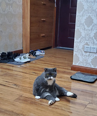 Ҷ˵Ҽҵèèоһѩ׵Ĵñ