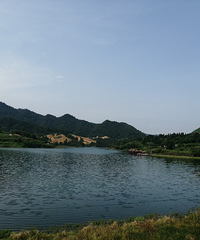 这里农家乐80一天包三餐和住宿,还能耍水抓螃蟹,凉快舒服惨了