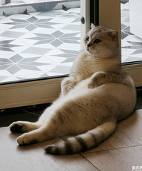 ͬһµèоԽԽˣΪֱˣ