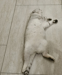 ͬһµèоԽԽˣΪֱˣ