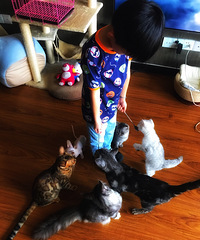小朋友们太喜欢小动物了,他们俩在猫咖玩了4个小时也不喊累