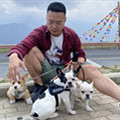 爱烹饪的博士医生相亲