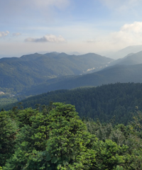 太阳底下都不觉得热的露营基地,景美设施全,在这避暑不要太爽