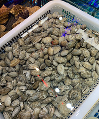 ����������̫�����ˣ��ؼ���Ʒ�ʺ����ʶȶ�����