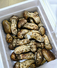 ɹɹ���׳Է���ϼ��������ɿڵĻ��ͼ�����