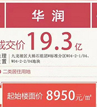 九龙坡土地“万元俱乐部”又进一位大佬,滩子口都要高攀不起了