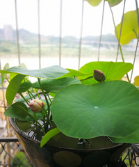 ȥ���ǰ�궼û�������������꾹Ȼð����3�����Ƕ䣬���Ǿ�ϲ