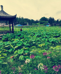 天上黄水,人间氧吧,离主城最近的避暑圣地