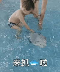 一家老小耍得超嗨的游泳馆,在这烧烤派对、拍大片耍一天都不过瘾