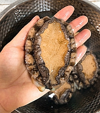 㡢򺡢բз8Ԫʵֺɣʡ˲Ǯ