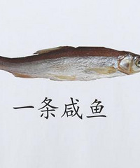 作为一只咸鱼,我对我的30很满意